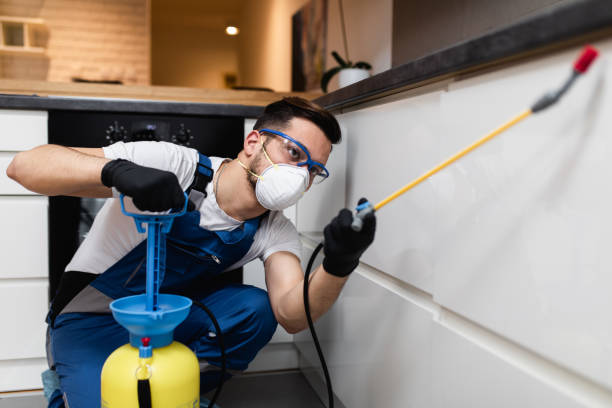 Best Cockroach Control Services  in West Terre Haute, IN