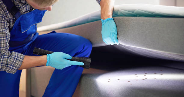 Best Termite Control Services  in West Terre Haute, IN