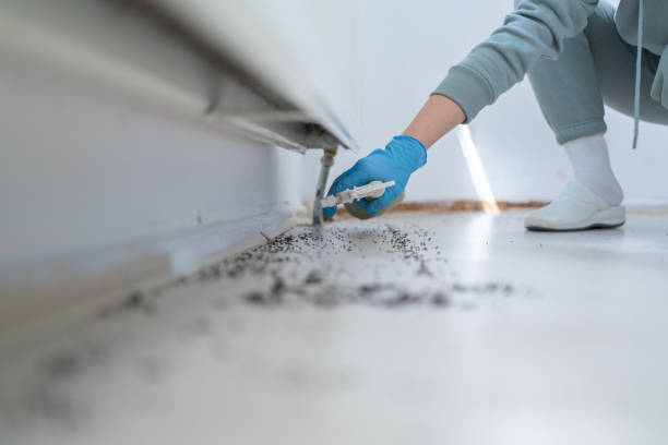 Best Pest Control Near Me  in West Terre Haute, IN