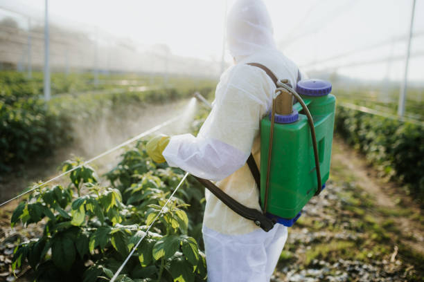 Best Mosquito Control Services  in West Terre Haute, IN